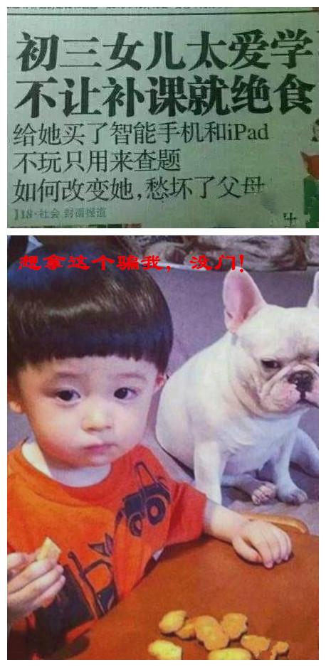 亲,你们是怎么生出这样的孩子的! 亲,你们是怎么生出这样的孩子的!
