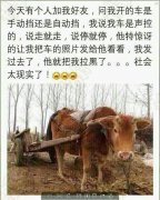 开的是什么车 开的是什么车