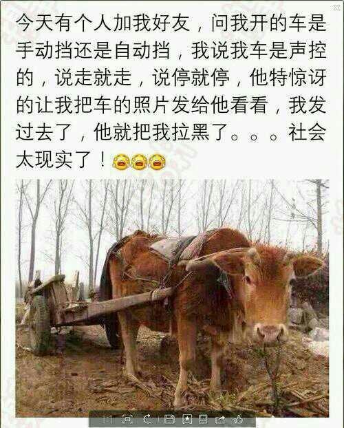 开的是什么车