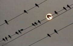 恋情曝光 恋情曝光