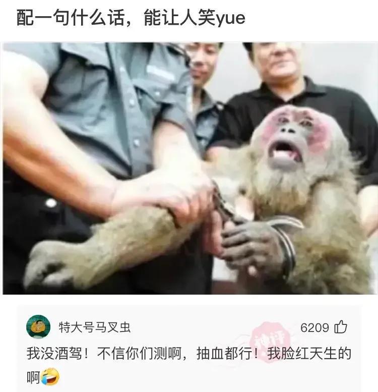 神回复:女朋友是四胞胎,傻傻分不清怎么办?要被神评笑死了 神回复:女朋友是四胞胎,傻傻分不清怎么办?要被神评笑死了