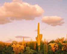 满是遗憾很想哭的句子 关于满是遗憾的文案