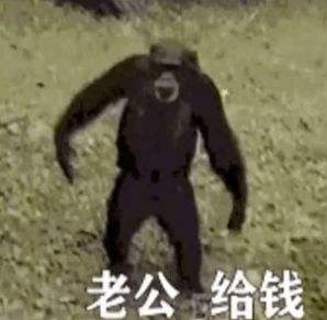 轻松一刻:欲女聊天po果照,恶男霸王硬上弓! 轻松一刻:欲女聊天po果照,恶男霸王硬上弓!