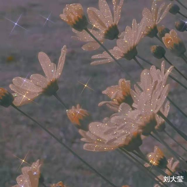 特别搞笑的幽默段子,字字醒人 特别搞笑的幽默段子,字字醒人