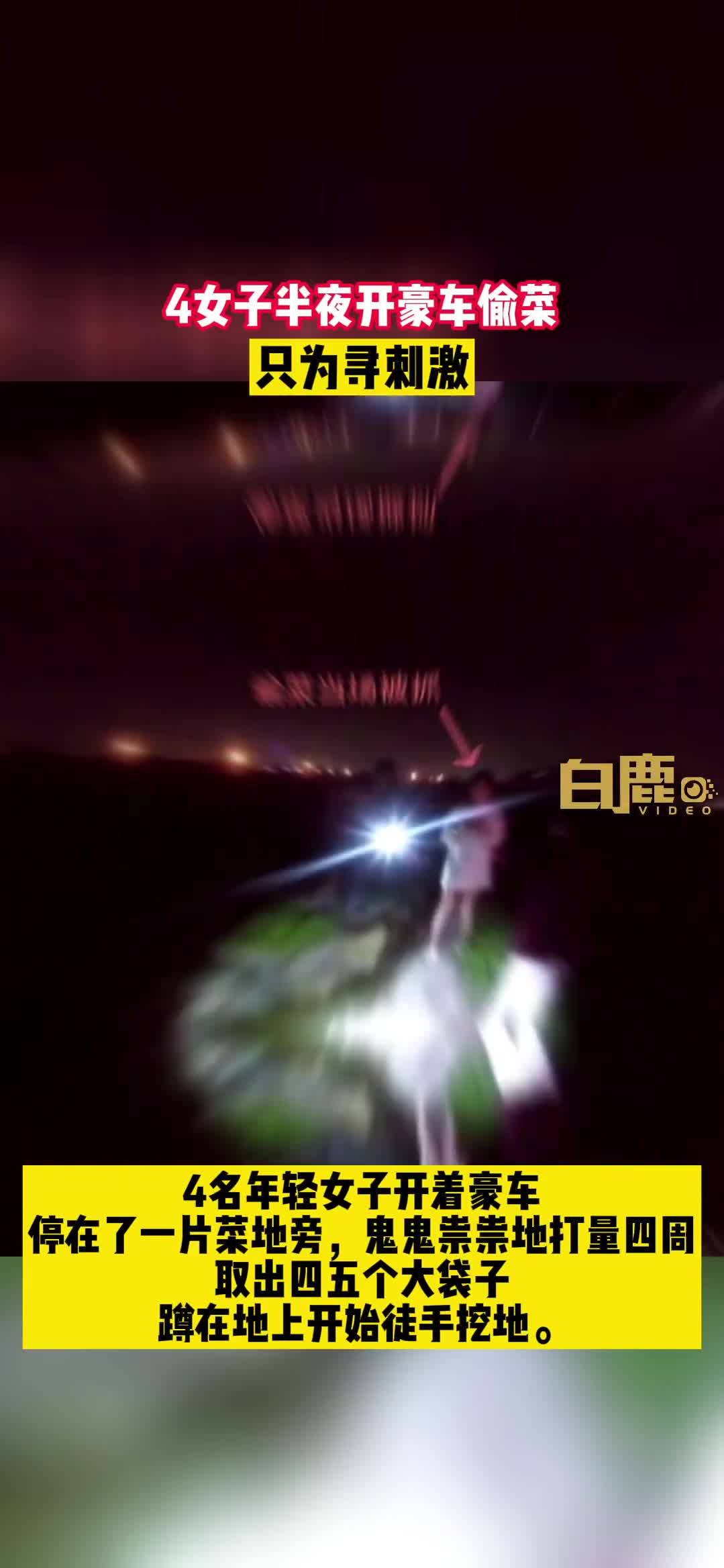 轻松一刻:女贼半夜求刺激,偷人岂不是更刺激? 轻松一刻:女贼半夜求刺激,偷人岂不是更刺激?