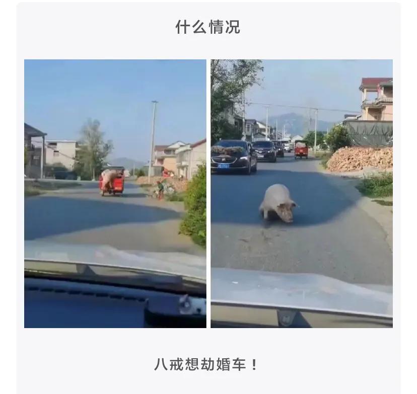 “反正人长得美,穿衣服就任性,走在大街上也不用怕尴尬!”哈哈哈 “反正人长得美,穿衣服就任性,走在大街上也不用怕尴尬!”哈哈哈