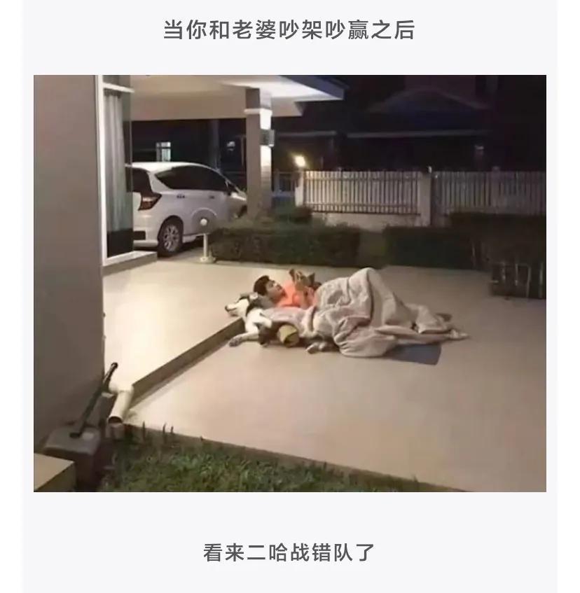 “反正人长得美，穿衣服就任性，走在大街上也不用怕尴尬！”哈哈哈