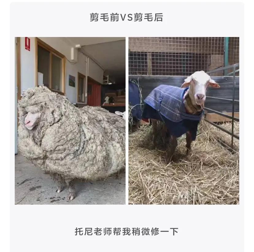 “反正人长得美,穿衣服就任性,走在大街上也不用怕尴尬!”哈哈哈 “反正人长得美,穿衣服就任性,走在大街上也不用怕尴尬!”哈哈哈