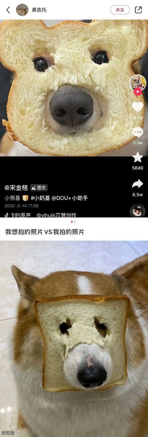 我想拍的照片VS我拍的照片