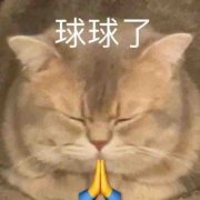 球球了