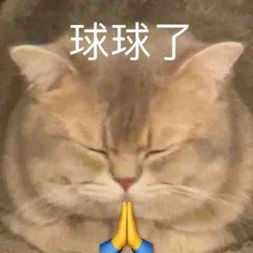 球球了