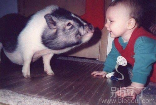 一只有灵性的动物。。