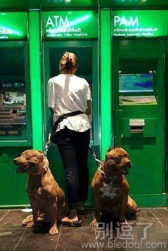 这取钱可真霸气！