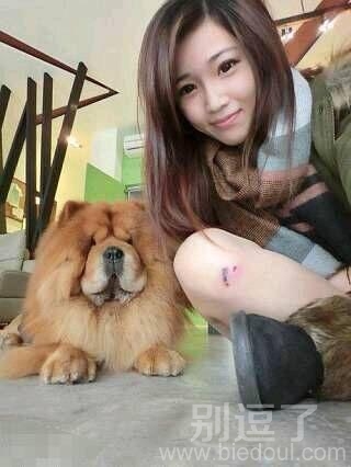 你俩做了什么好事？