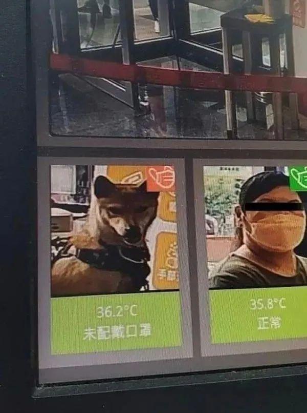 【每日十图】小姐姐这紧身衣自带眩晕效果,谁能扛过1分钟不睡? 【每日十图】小姐姐这紧身衣自带眩晕效果,谁能扛过1分钟不睡?