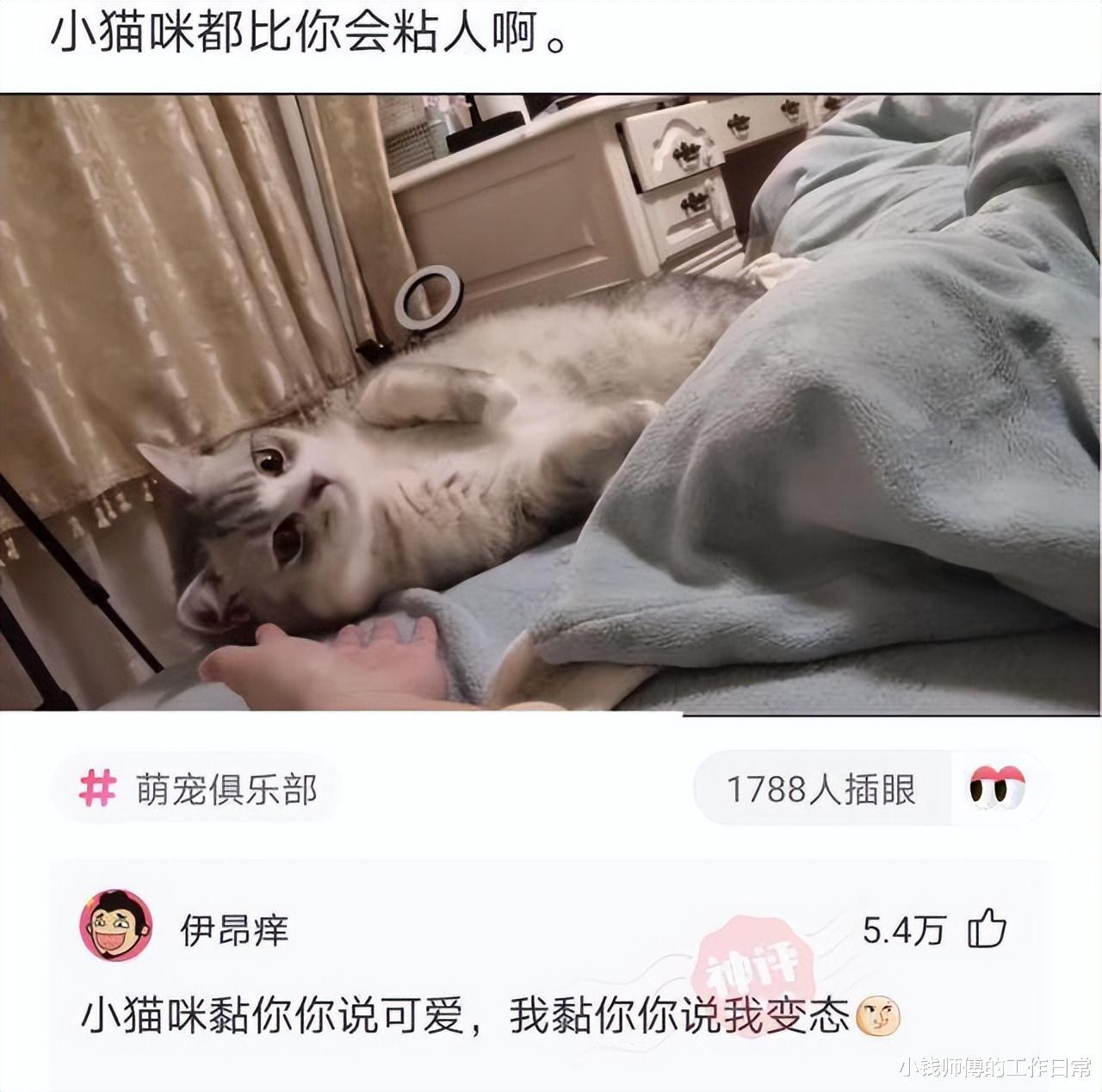 小姑娘看得出来你挺困的，但是自己坐火车一定要注意安全！