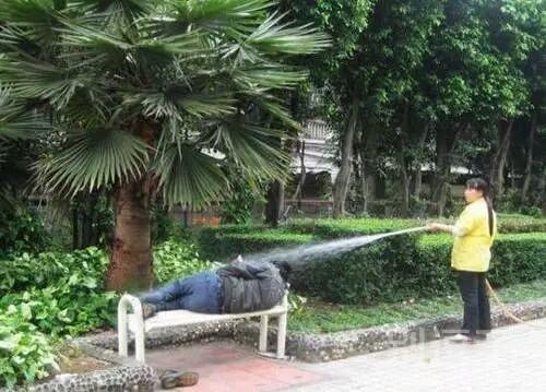 骚年,天亮该醒醒了 骚年,天亮该醒醒了