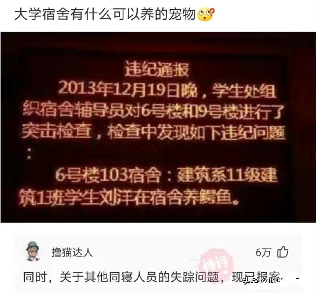 神回复:兄弟我明天结婚,一定要穿你们最帅的衣服来给我助阵! 神回复:兄弟我明天结婚,一定要穿你们最帅的衣服来给我助阵!