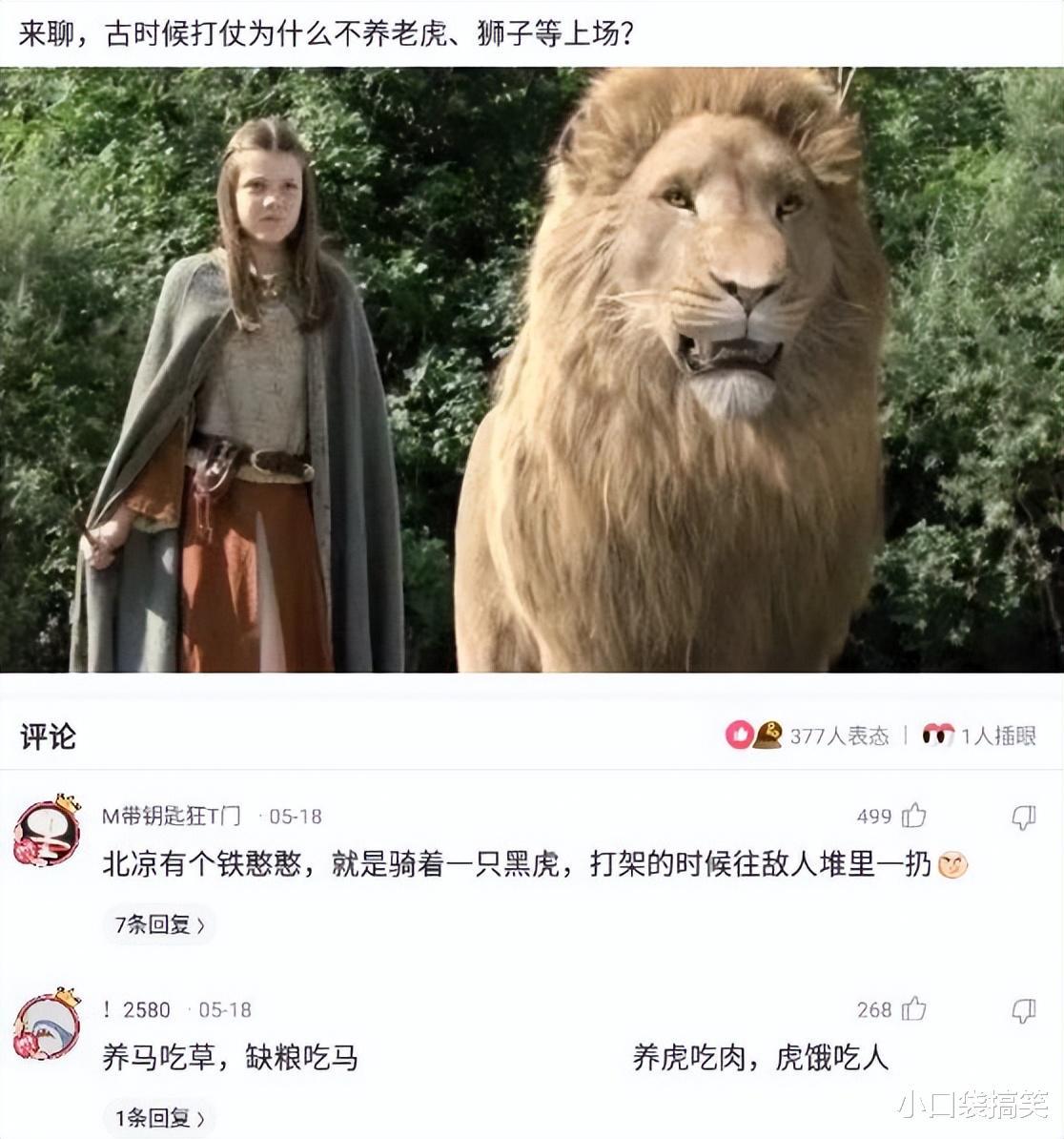 “玉米地里无意发现的,现在我该怎么办?”评论区沸腾了! “玉米地里无意发现的,现在我该怎么办?”评论区沸腾了!