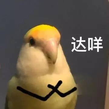 轻松一刻:六亲不认哪家强,中国山东找蓝翔 轻松一刻:六亲不认哪家强,中国山东找蓝翔
