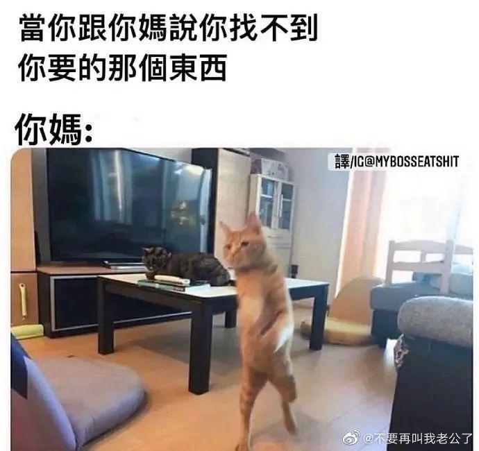 “跳槽去面试竟在现场遇见前领导?!”哈哈哈哈哈哈哈这是什么修罗场! “跳槽去面试竟在现场遇见前领导?!”哈哈哈哈哈哈哈这是什么修罗场!