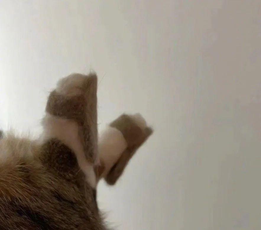 “跳槽去面试竟在现场遇见前领导？！”哈哈哈哈哈哈哈这是什么修罗场！