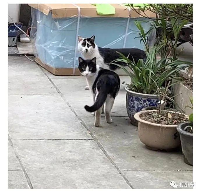 “跳槽去面试竟在现场遇见前领导?!”哈哈哈哈哈哈哈这是什么修罗场! “跳槽去面试竟在现场遇见前领导?!”哈哈哈哈哈哈哈这是什么修罗场!