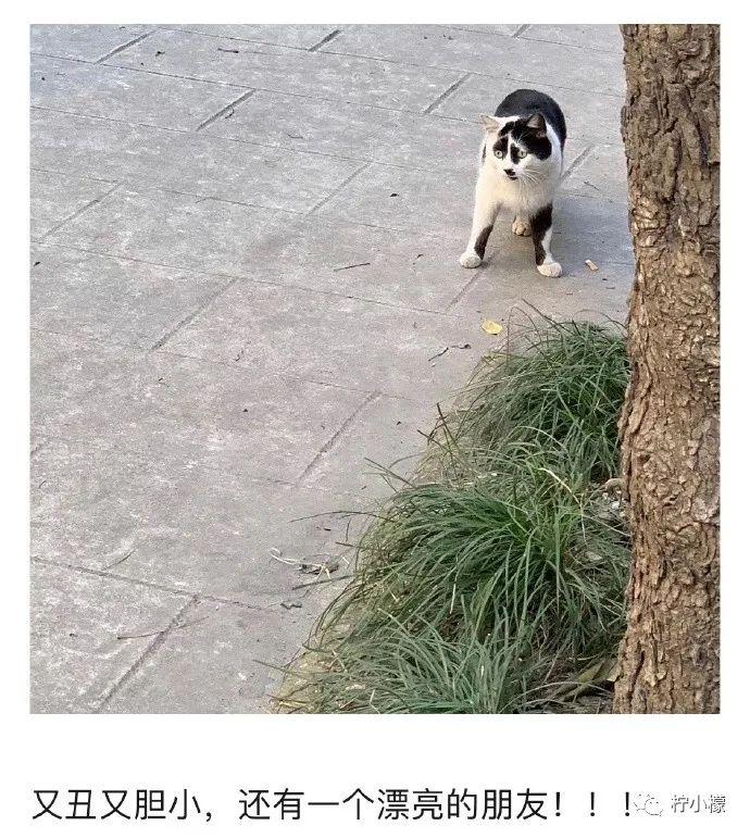 “跳槽去面试竟在现场遇见前领导?!”哈哈哈哈哈哈哈这是什么修罗场! “跳槽去面试竟在现场遇见前领导?!”哈哈哈哈哈哈哈这是什么修罗场!