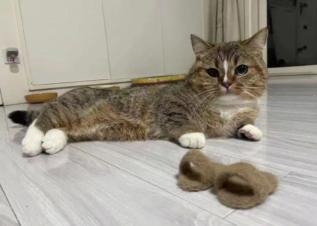 “跳槽去面试竟在现场遇见前领导?!”哈哈哈哈哈哈哈这是什么修罗场! “跳槽去面试竟在现场遇见前领导?!”哈哈哈哈哈哈哈这是什么修罗场!