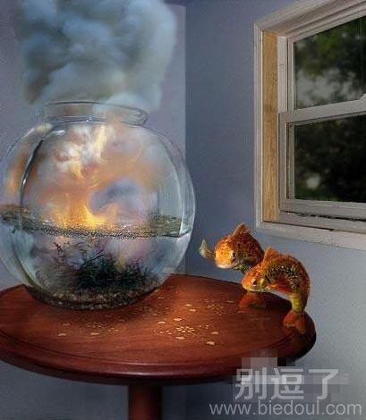 鱼儿不一定非要水中游 鱼儿不一定非要水中游