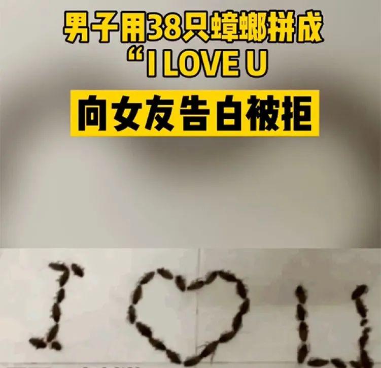 性感肥臀?求求你不要再摇了! 性感肥臀?求求你不要再摇了!