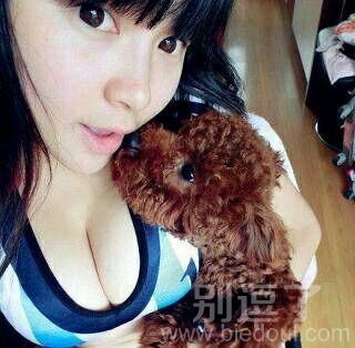 汪星人我和你换一换可好