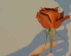 时间过的很快的感悟说说 感叹时间过的很快的心情短句