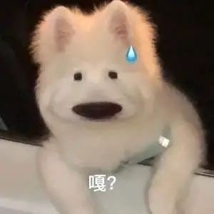轻松一刻:遇到这样娇弱的女邻居,你会开门吗? 轻松一刻:遇到这样娇弱的女邻居,你会开门吗?