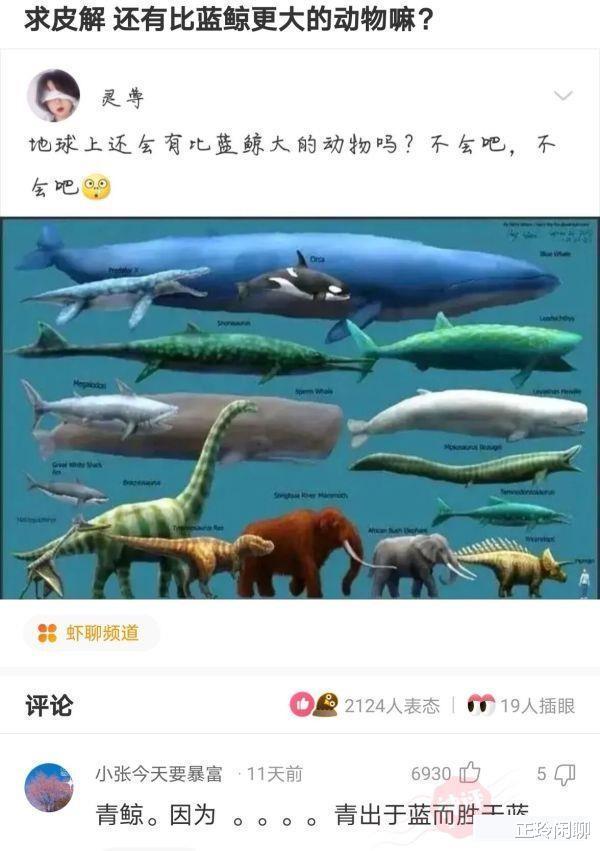 神回复:开车600公里来找女友,却看到这画面!我应该在车底吗 神回复:开车600公里来找女友,却看到这画面!我应该在车底吗
