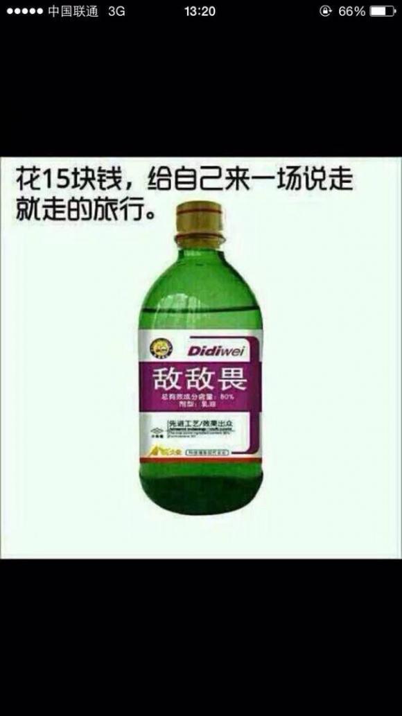 一场说走就走的旅行 一场说走就走的旅行