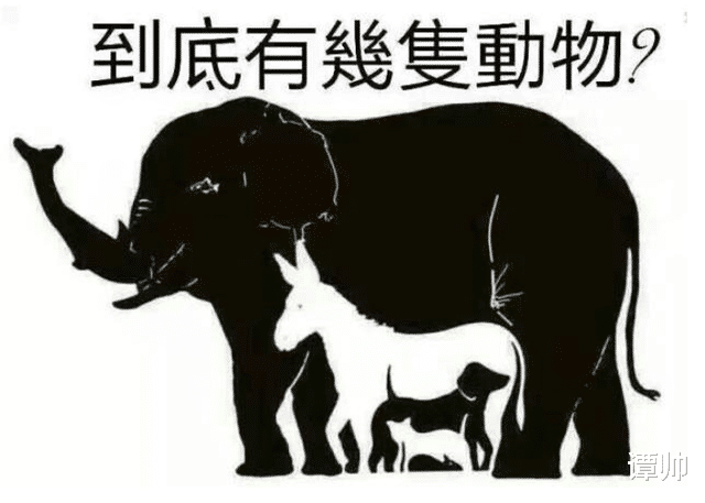 “大姨介绍的相亲对象,感觉哪里怪怪的!”哈哈哈 “大姨介绍的相亲对象,感觉哪里怪怪的!”哈哈哈