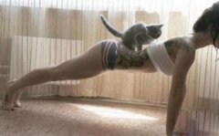 搞笑图_唔猫咪挺可爱的