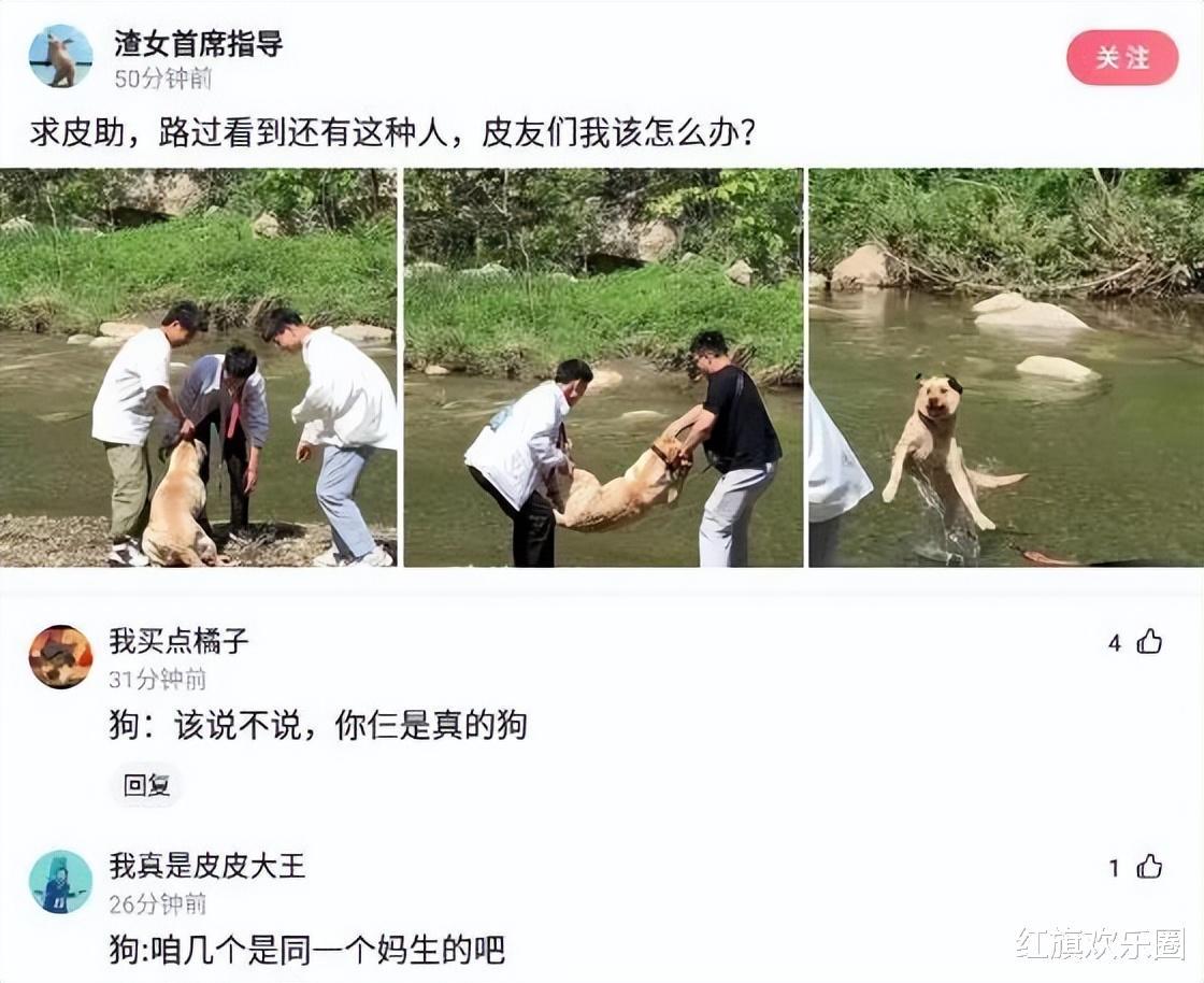 我看了3人过河图后，决定试下真假，结果没想到