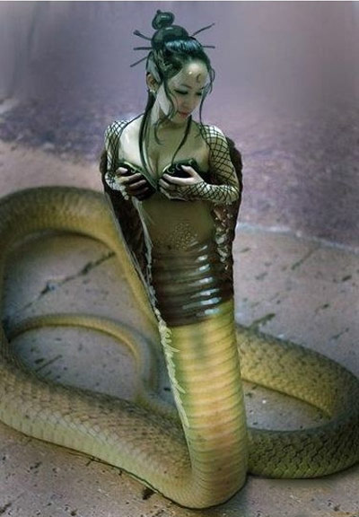 搞笑女人图集,PS大神各显神通。