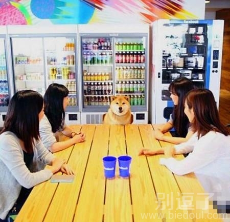 明天发工资，骗你们是狗