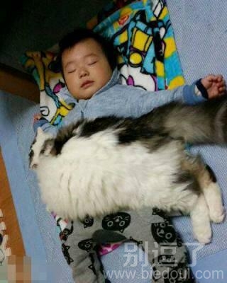 这个毛毯子看上去好暖和