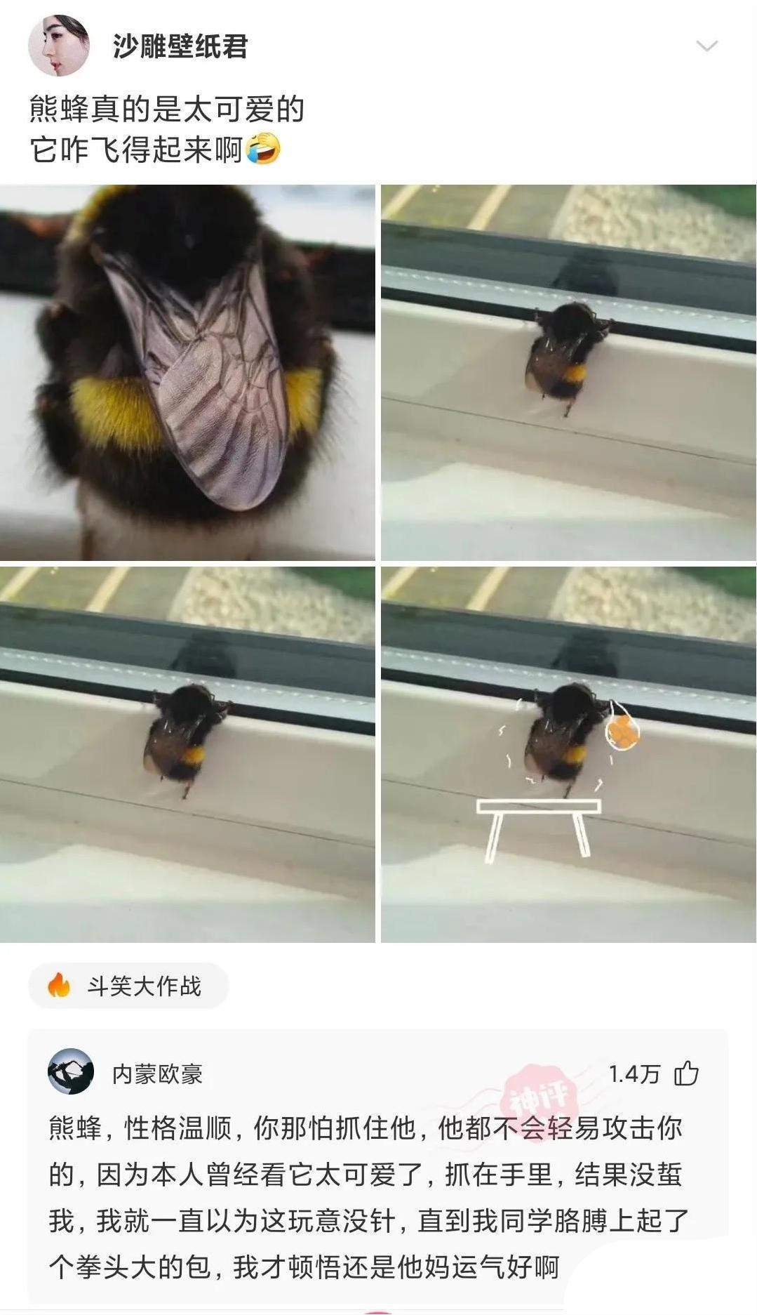 为什么乔杉在洗脚城被抓了,不会退出娱乐圈呢?哈哈哈 为什么乔杉在洗脚城被抓了,不会退出娱乐圈呢?哈哈哈