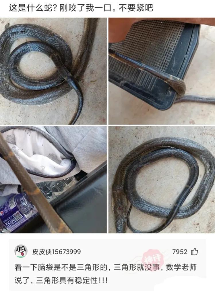 为什么乔杉在洗脚城被抓了,不会退出娱乐圈呢?哈哈哈 为什么乔杉在洗脚城被抓了,不会退出娱乐圈呢?哈哈哈