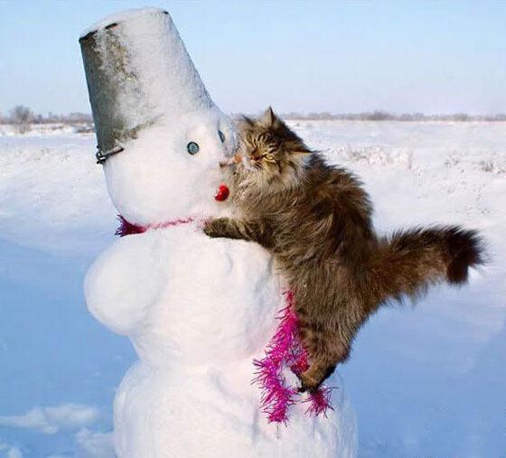 快给我抓拍 快给我抓拍