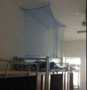 这哥们的智商不需要蚊帐了吧