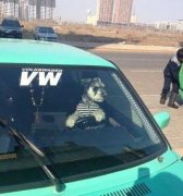 这个司机好专注 这个司机好专注