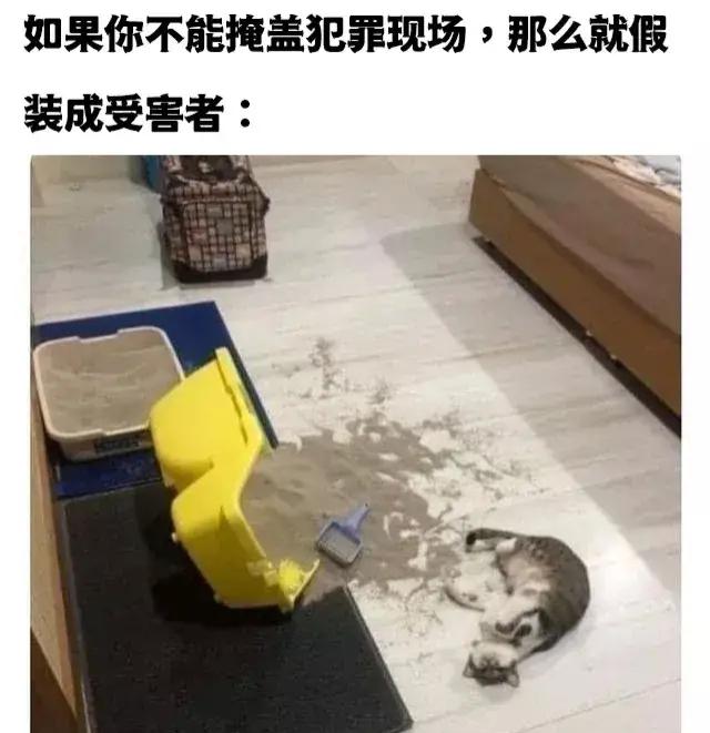 “滴滴司机和富婆的聊天记录曝光!”贫穷限制了我的想象~哈哈哈哈 “滴滴司机和富婆的聊天记录曝光!”贫穷限制了我的想象~哈哈哈哈