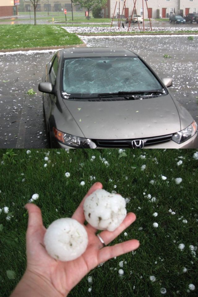 恶搞图片帮你爆笑这个周末。