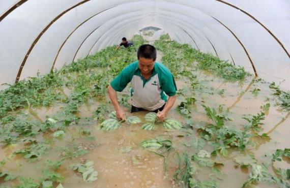 搞笑图--自娱自乐的世外高人。